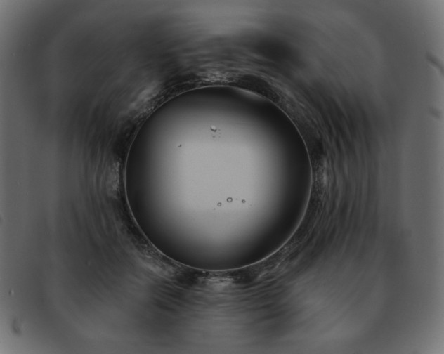 X0000093580554200710151147
