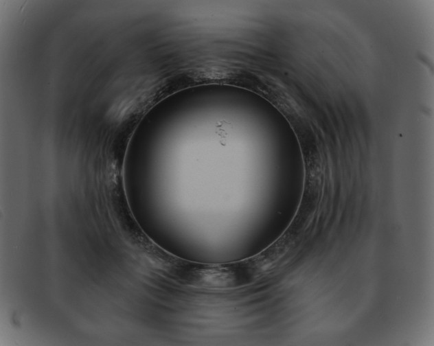 X0000093580555200710151147