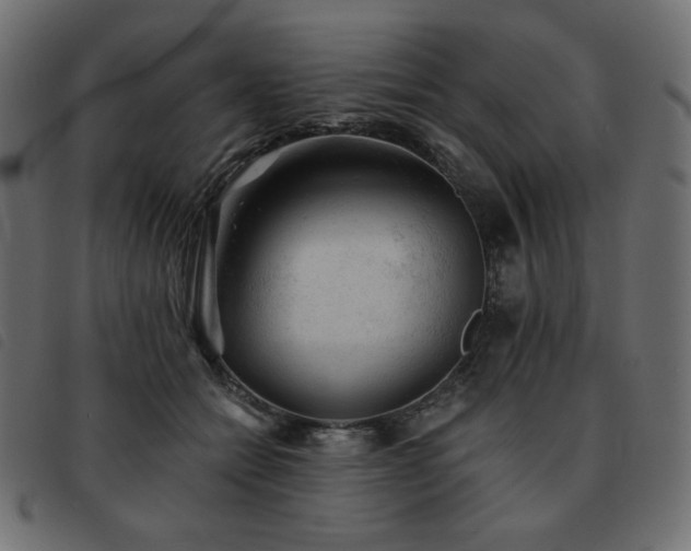 X0000093580558200710151147