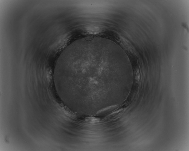 X0000093580559200710151147