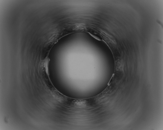 X0000093580560200710151147