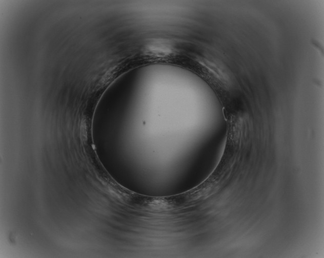X0000093580562200710151147