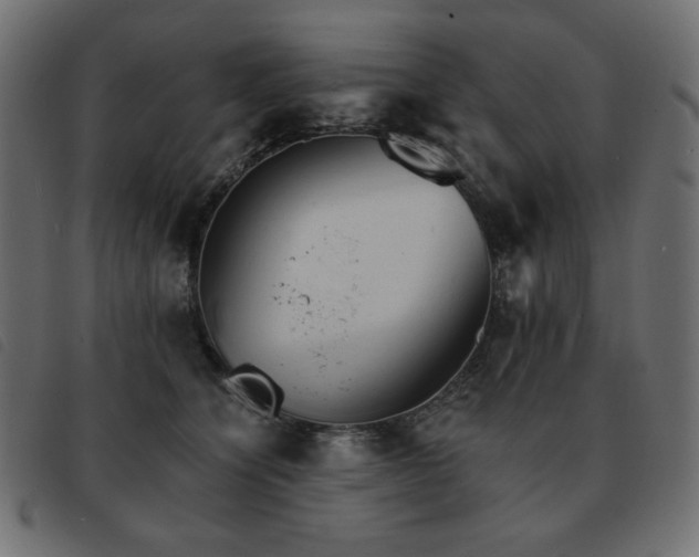 X0000093580564200710151147