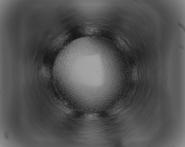 X0000093580569200710151147