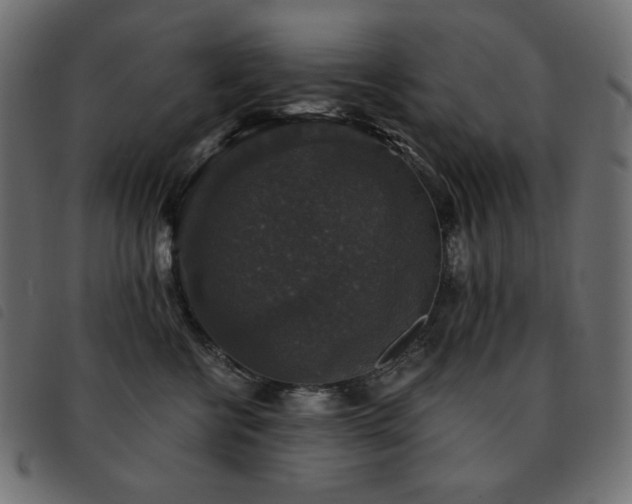 X0000093580570200710151147