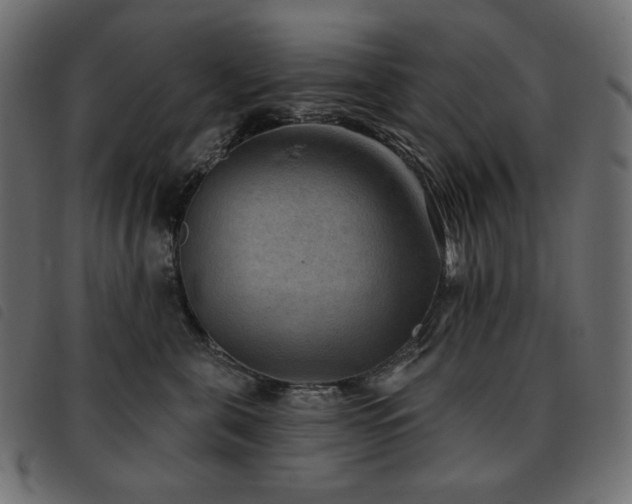 X0000093580571200710151147
