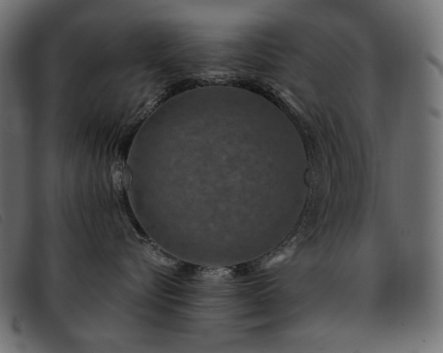 X0000093580576200710151147