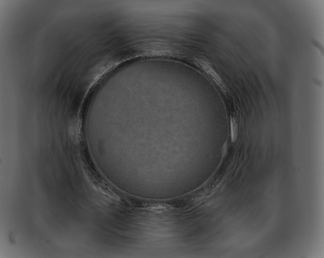 X0000093580579200710151147