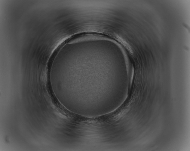X0000093580580200710151147