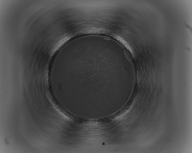 X0000093580581200710151147