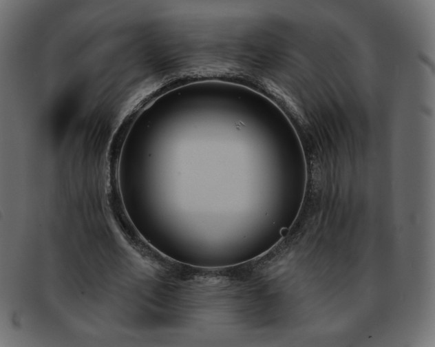X0000093580582200710151146