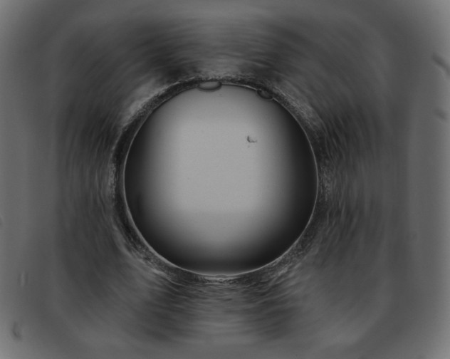 X0000093580583200710151146