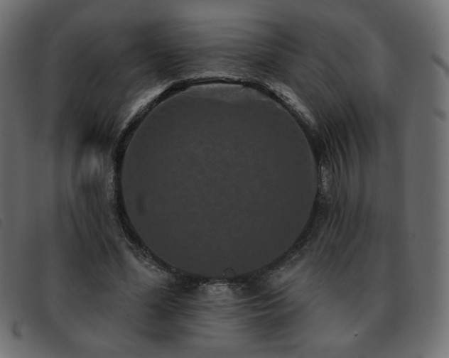X0000093580588200710151146