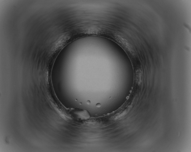 X0000093580589200710151146