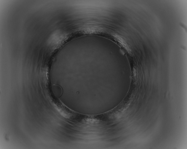 X0000093580590200710151146
