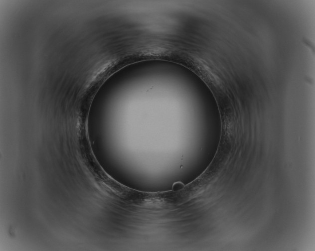 X0000093580591200710151146