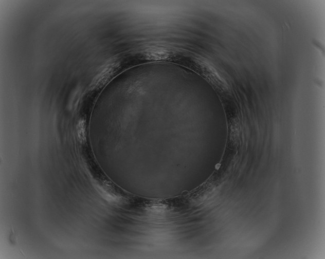 X0000093580598200710151146