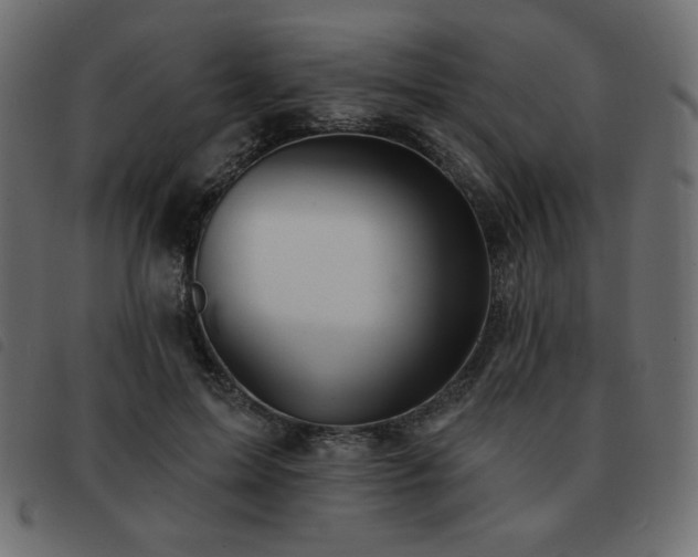 X0000093580599200710151146