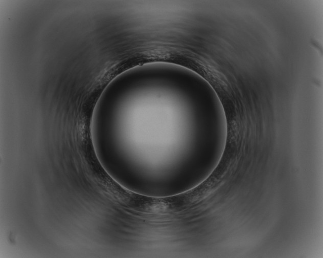 X0000093580600200710151146