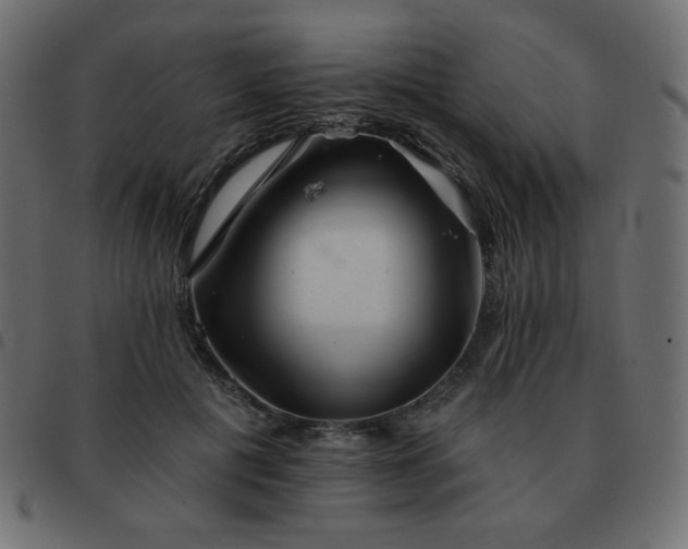 X0000093580601200710151146