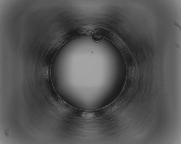 X0000093580602200710151146