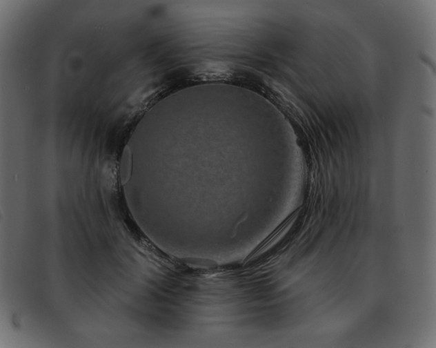 X0000093580604200710151146