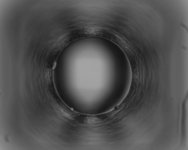 X0000093580605200710151146