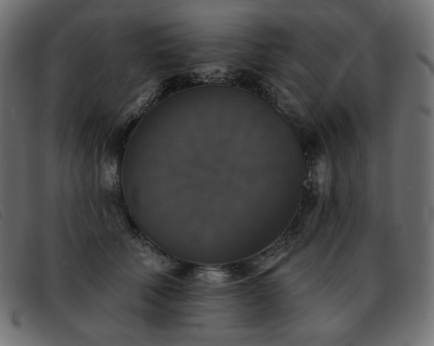X0000093580610200710151146