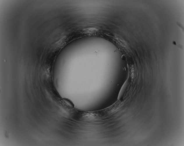 X0000093580611200710151146