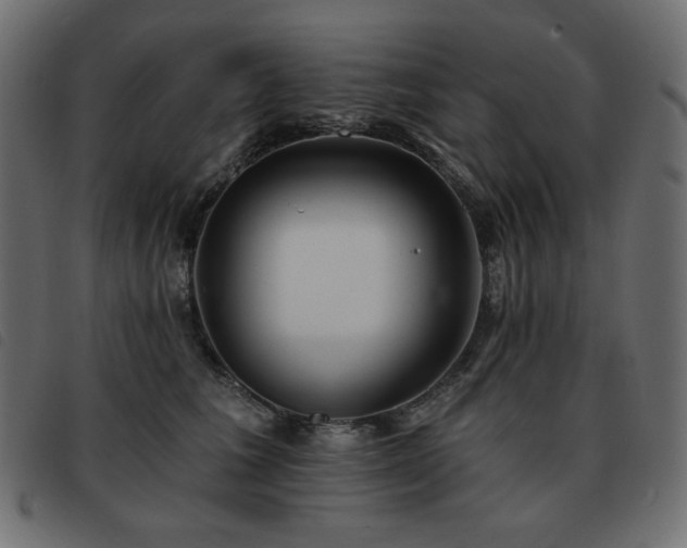 X0000093580613200710151146