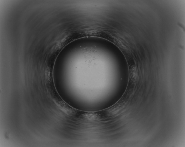 X0000093580615200710151146