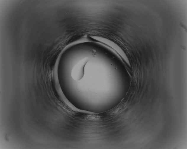 X0000093580617200710151146