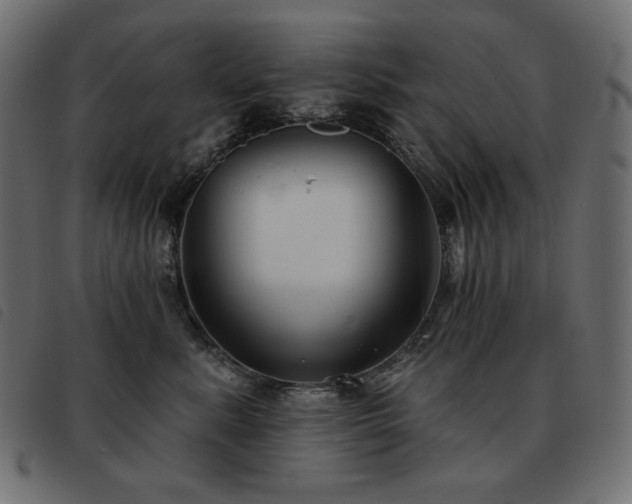 X0000093580619200710151146