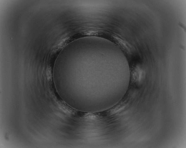 X0000093580620200710151146
