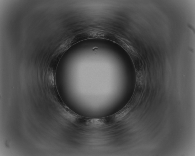 X0000093580622200710151146