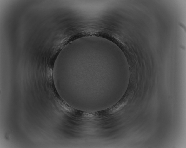 X0000093580624200710151146