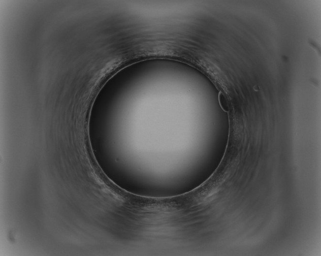 X0000093580625200710151145