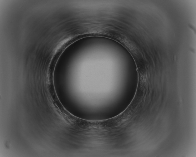X0000093580628200710151145
