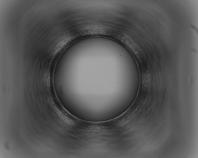 X0000093580629200710151145