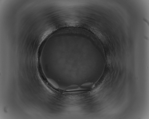 X0000093580630200710151145