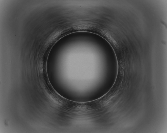 X0000093580631200710151146
