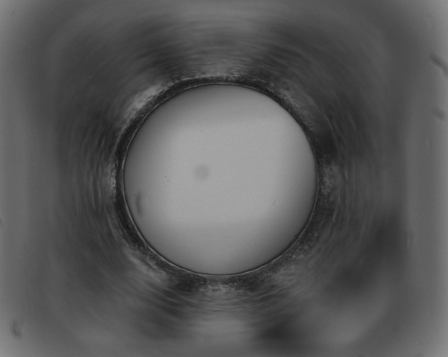 X0000093580632200710151146