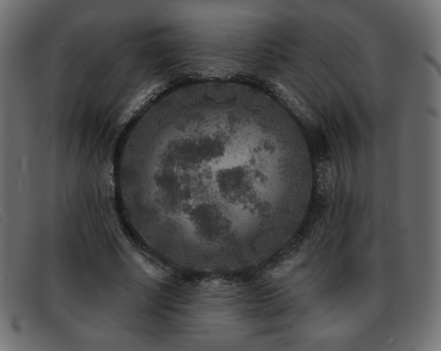 X0000093580634200710151146