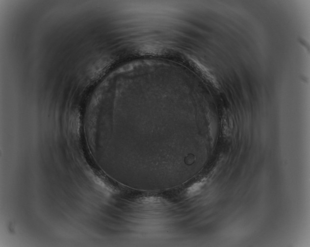 X0000093580637200710151146