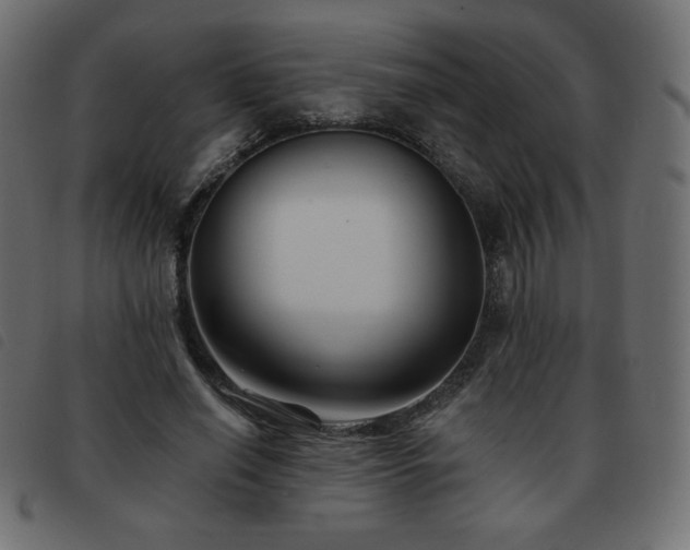 X0000093580638200710151146