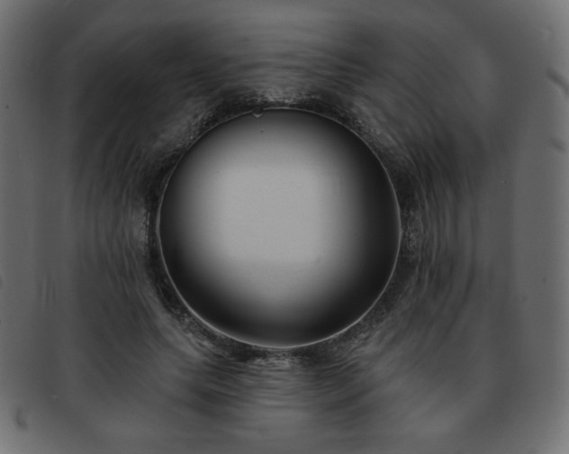 X0000093580639200710151146