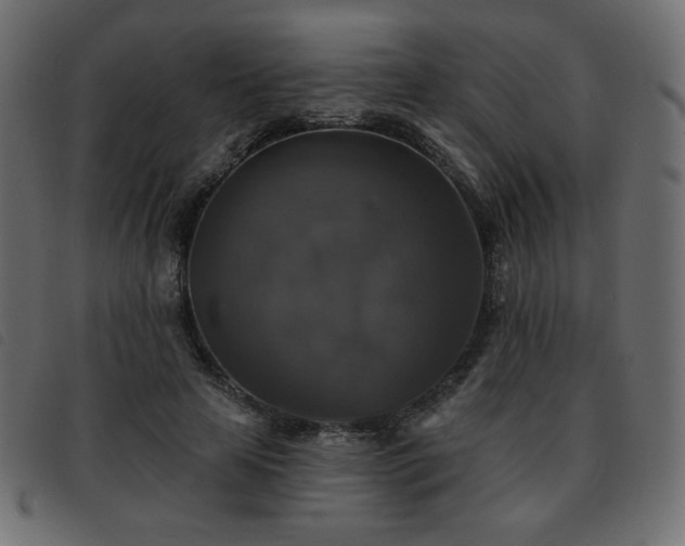 X0000093580641200710151146