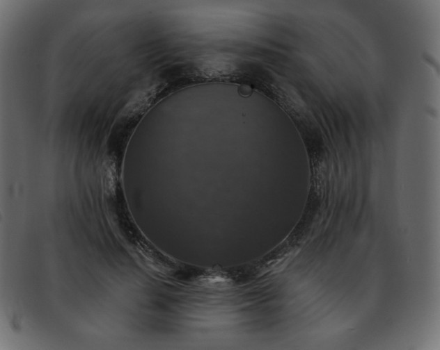 X0000093580644200710151146