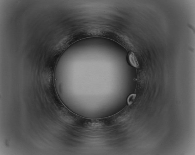 X0000093580645200710151146