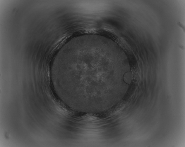 X0000093580648200710151146